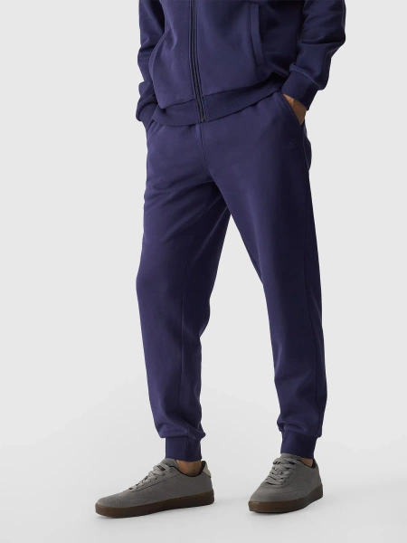 Spodnie dresowe męskie 4F 4FWMM00TTROM0943-31S