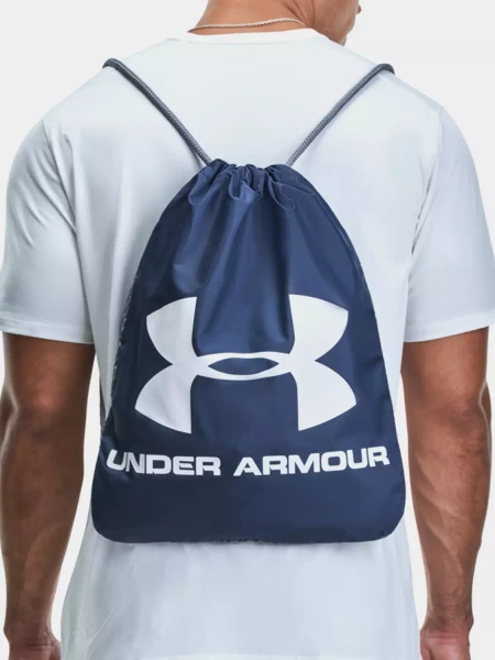 Plecak Under Armour Ozsee 1240539-412