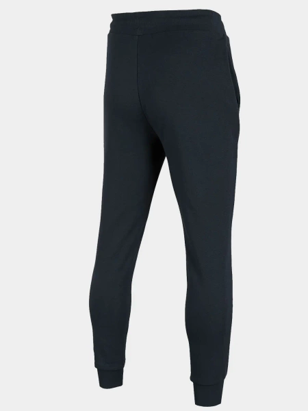 Spodnie dresowe męskie 4F H4Z22-SPMD350-30S