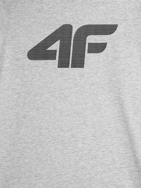 Koszulka męska 4F 4FAW23TTSHM0877-27M