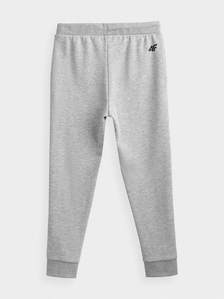 Spodnie dresowe dziecięce 4F HJZ21-JSPMD001A-27M