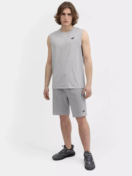 Koszulka męska 4F 4FSS23TSLEM016-27M