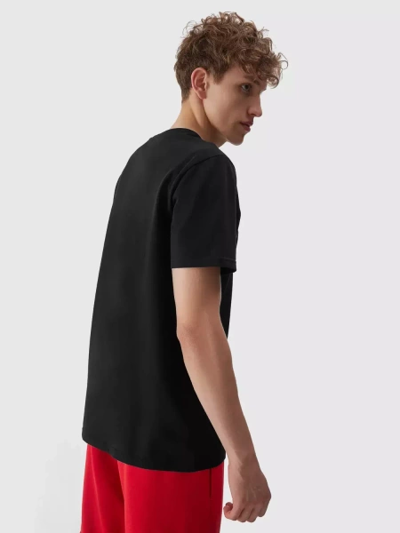 Koszulka męska 4F 4FAW23TTSHM0877-21S