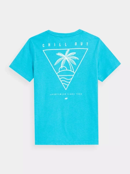 Koszulka dziecięca 4F 4FJSS23TTSHM286-35S