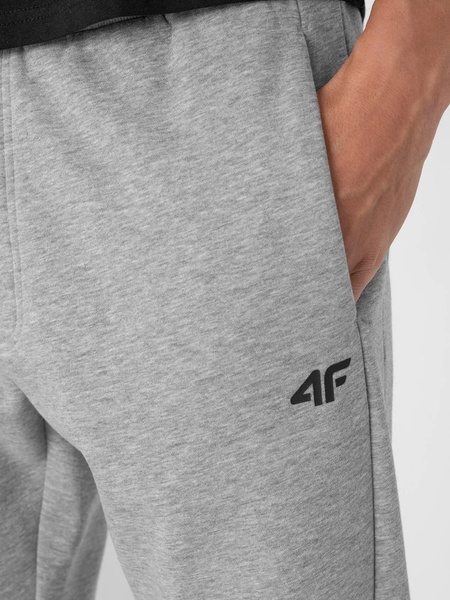 Spodnie dresowe męskie 4F NOSH4-SPMD350-27M