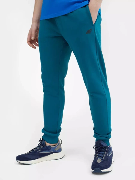 Spodnie dresowe męskie 4F 4FSS23TTROM223-32S