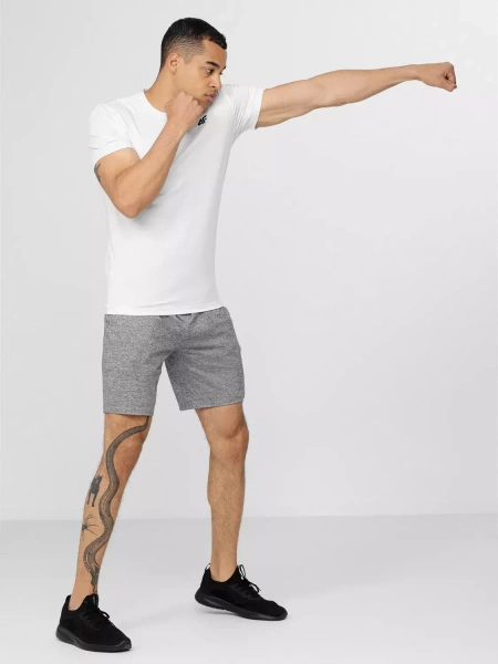 Koszulka męska 4F H4Z22-TSMF351-10S