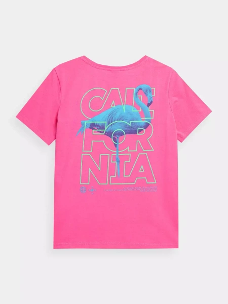 Koszulka damska 4F 4FSS23TTSHF561-54S