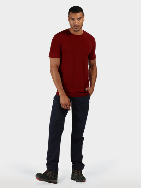 Koszulka męska REGATTA RMT218-649