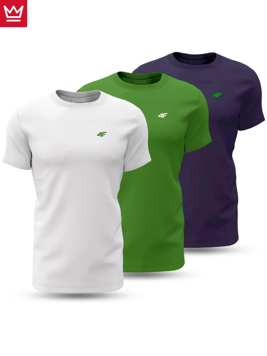Koszulka męska 4F 4FWSS24TTSHM1895-90S 3PAK