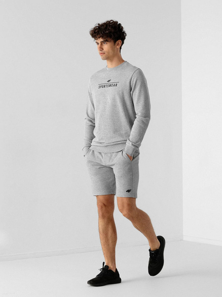 Bluza męska 4F NOSH4-BLM350-27M