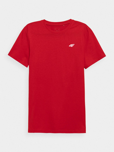 Koszulka męska 4F 4FSS22TTSHM200-62S