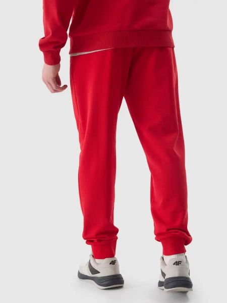 Spodnie dresowe męskie 4F 4FWSS24TTROM603-61S 