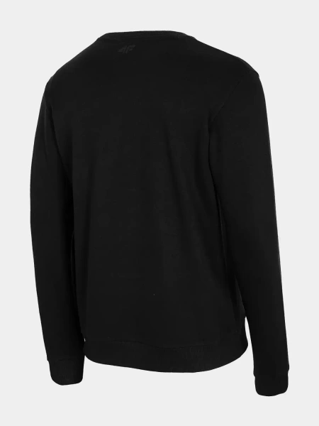 Bluza męska 4F H4Z22-BLM350-20S