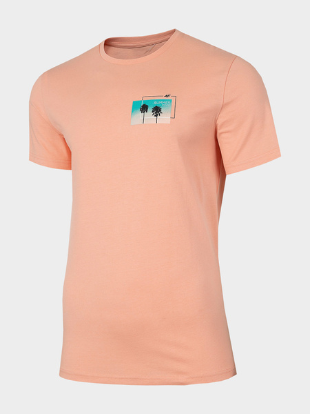 Koszulka męska 4F H4L22-TSM043-64S