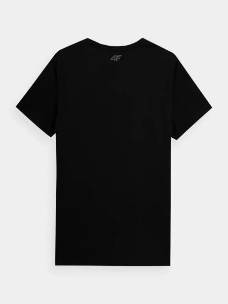 Koszulka męska 4F 4FSS23TTSHM309-20S
