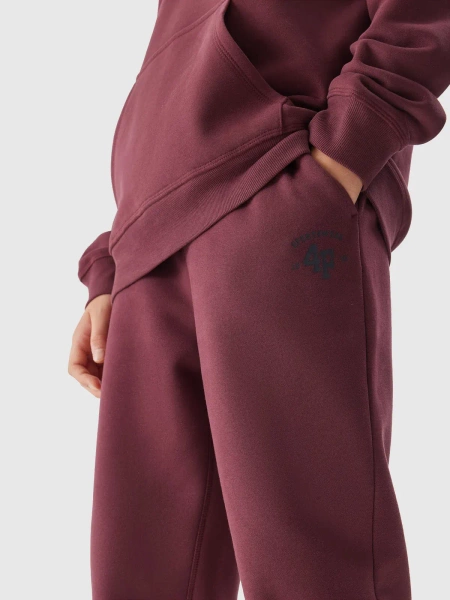 Spodnie dresowe dziecięce 4F 4FJAW23TTROM419-60S 