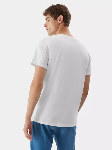 Koszulka męska 4F 4FAW23TTSHM0876-10S