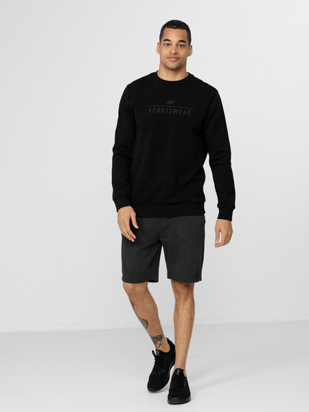 Bluza męska 4F H4L22-BLM350-20S