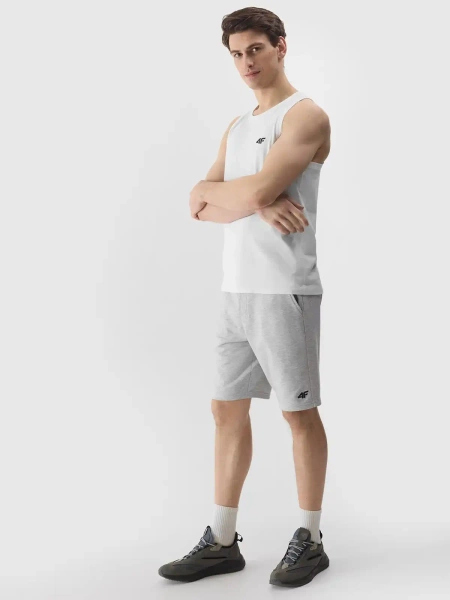 Koszulka męska 4F 4FWSS24TSLEM076-10S