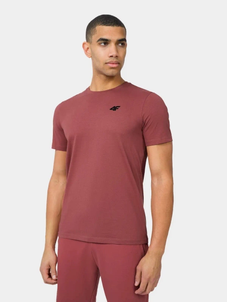 Koszulka męska 4F 4FWSS24TTSHM1896-91S 3PAK