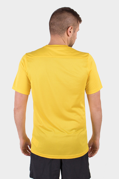 Koszulka męska NIKE DRY PARK VII M SS BV6708-719