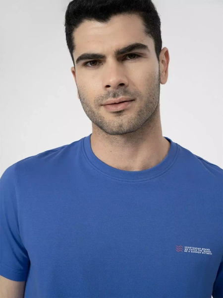 Koszulka męska 4F 4FSS23TTSHM360-36S