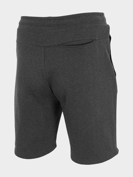 Spodenki męskie 4F H4L22-SKMD350-23M