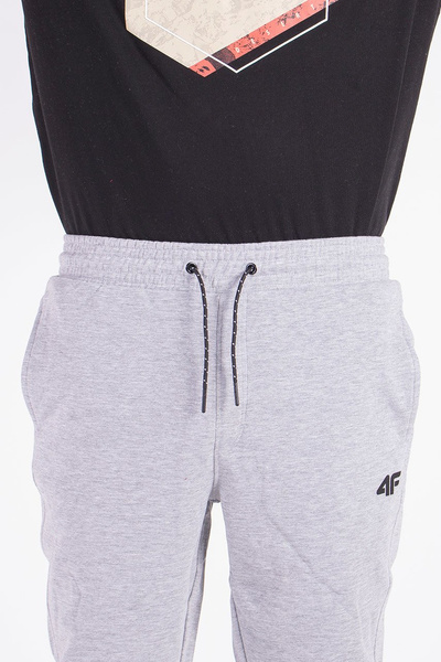 Spodnie dresowe męskie 4F H4Z19-SPMD001-27M