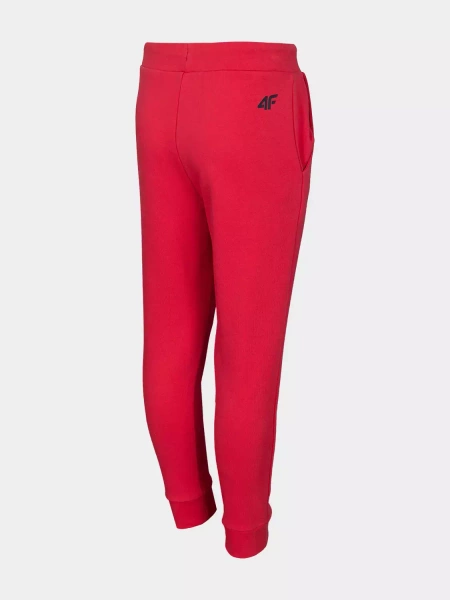 Spodnie dresowe dziecięce 4F JUNIOR HJL22-JSPMD001-62S