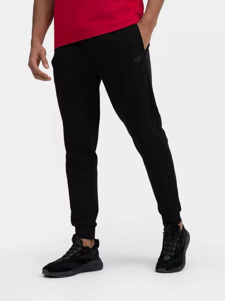 Spodnie dresowe męskie 4F 4FSS23TTROM223-20S