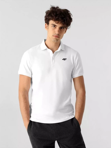 Koszulka męska 4F 4FSS23TPTSM038-10S