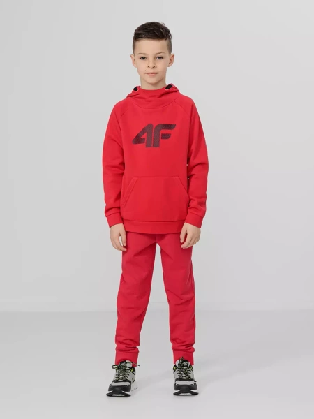 Spodnie dresowe dziecięce 4F JUNIOR HJL22-JSPMD001-62S