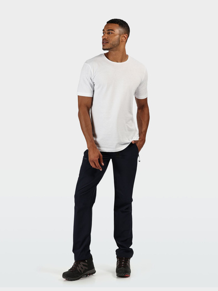 Koszulka męska REGATTA RMT218-900