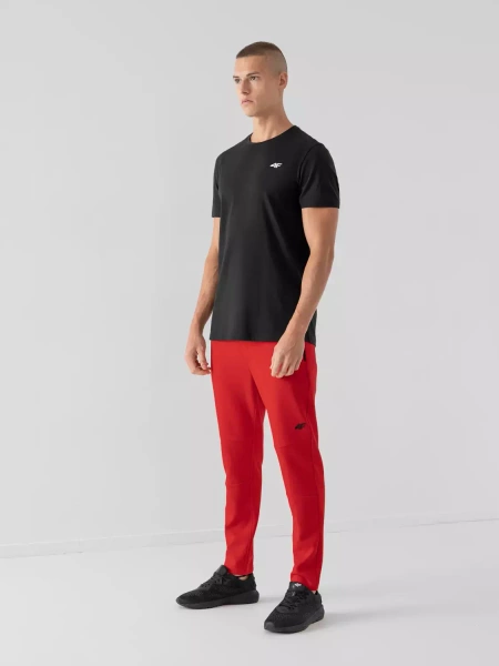 Koszulka męska 4F 4FAW22TTSHM707-20S