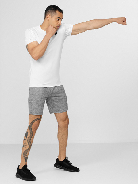 Koszulka treningowa męska 4F H4L22-TSMF351-10S