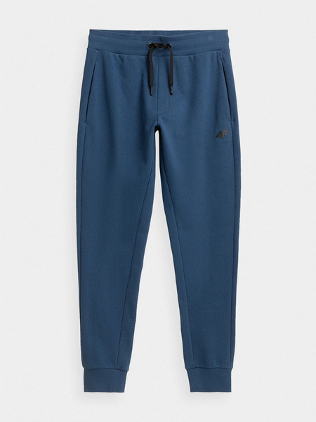 Spodnie dresowe męskie 4F NOSH4-SPMD350-32S