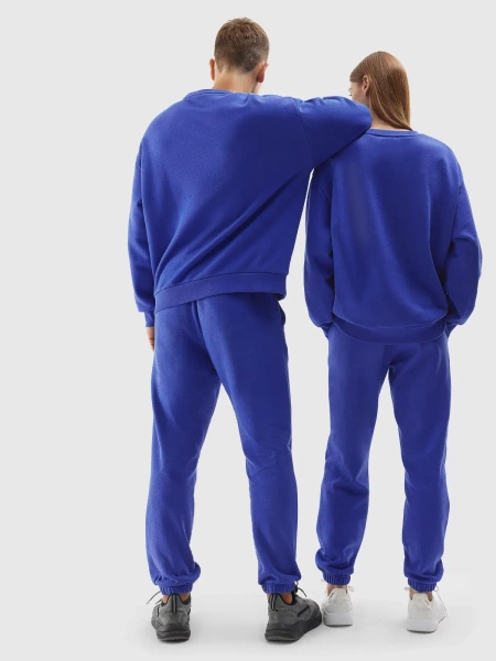 Bluza unisex 4F 4FAW23TSWSU703-36S