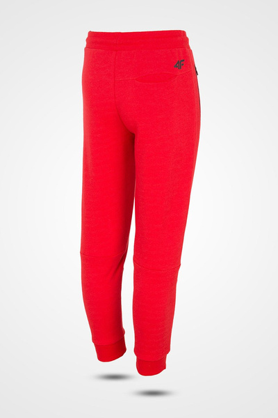 Spodnie dresowe chłopięce 4F HJZ19-JSPMD004-62S