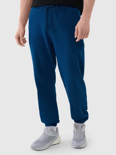 Spodnie dresowe męskie 4F 4FWMM00TTROM1139-46S