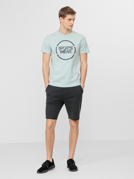 Koszulka męska 4F H4L22-TSM035-47S