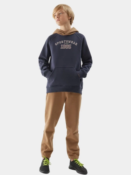 Bluza dziecięca z kapturem 4F 4FJAW23TSWSM651-31S