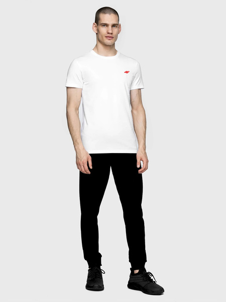 Koszulka męska 4F 4FSS22TTSHM200-10S