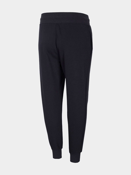 Spodnie dresowe damskie 4F NOSH4-SPDD002-20S