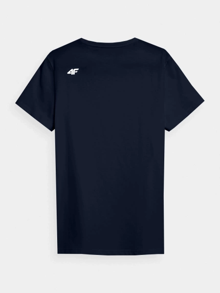 Koszulka męska 4F 4FWAW24TTSHM2424-31S