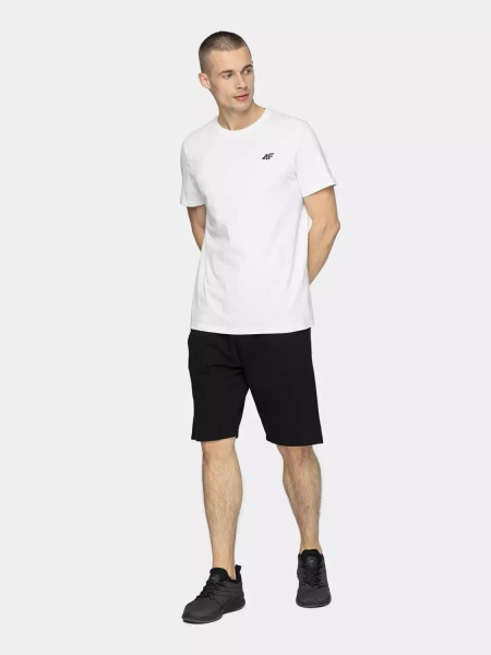 Koszulka męska 4F 4FAW22TTSHM697-90S 3-PAK