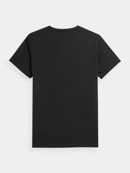 Koszulka męska 4F 4FSS23TTSHM539-20S