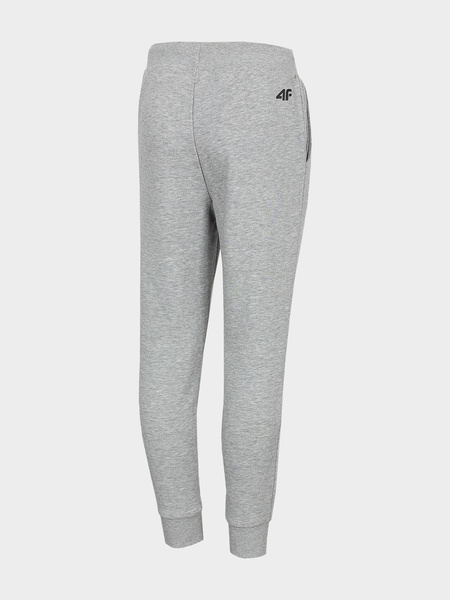 Spodnie dresowe dziecięce 4F HJL21-JSPMD001A-27M