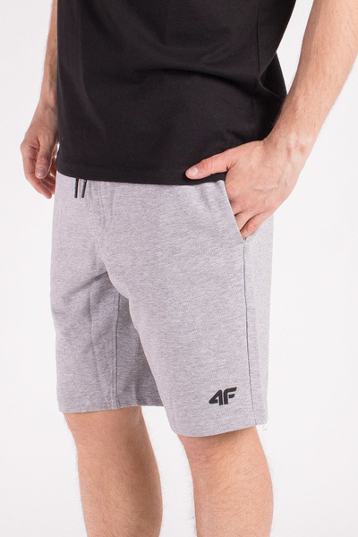 Spodenki męskie 4F H4L19-SKMD001-27M