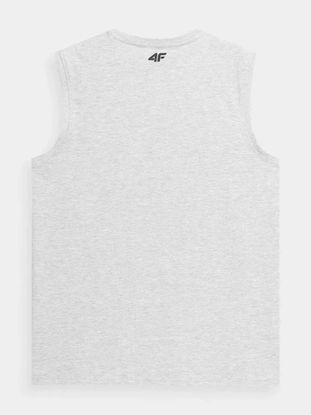 Koszulka męska 4F 4FSS23TSLEM016-27M